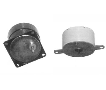 43TRY永磁容分同步電動(dòng)機(jī)