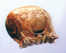 木魚(yú)