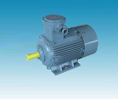 YB2系列隔爆型三相異步電動(dòng)機(jī)