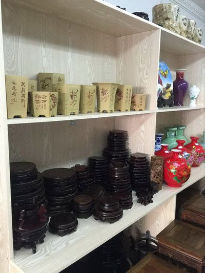家園花盆