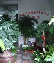 家園花木