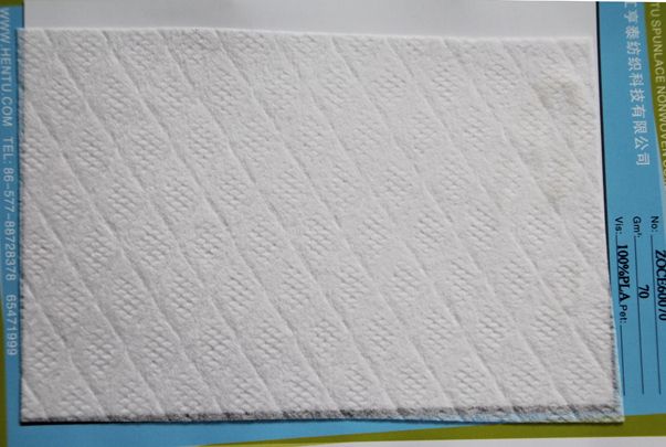 ZOCE60070 水刺無(wú)紡布