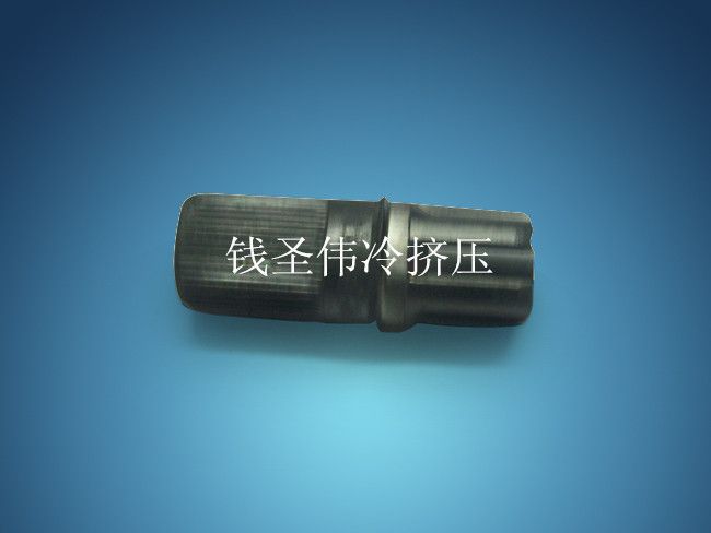 齒輪 冷擠壓件