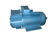 YZ.YZR系列起重及冶金用三相異步電動(dòng)機(jī)