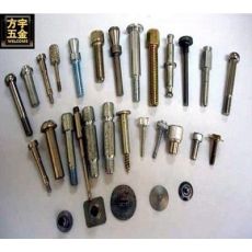 緊固件，螺絲螺母 電驅(qū)軸 電機(jī)配件 非標(biāo)件定做