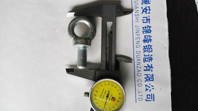 8.8級(jí)鍍鋅英制16分之7吊環(huán)螺栓