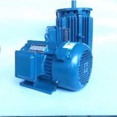 三相力矩電動機(jī)YLJ100-5-6