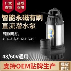 直流無(wú)刷潛水泵48V60V電瓶車(chē)水泵農(nóng)用灌溉排澇水井抽水機(jī)